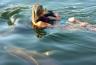 thm_dolphins-all-around.jpg